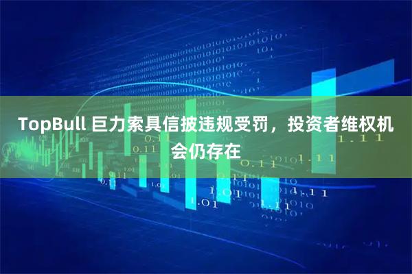 TopBull 巨力索具信披违规受罚，投资者维权机会仍存在