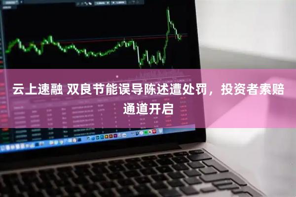 云上速融 双良节能误导陈述遭处罚，投资者索赔通道开启