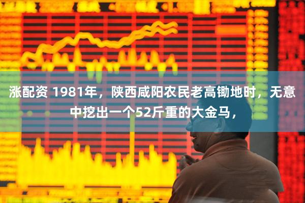 涨配资 1981年，陕西咸阳农民老高锄地时，无意中挖出一个52斤重的大金马，